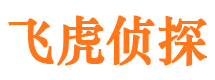 广丰市调查公司